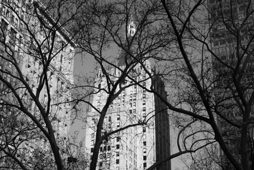 Madison Square Park 1 New York City (0666SA).jpg Madison Square Park 1 New York City (0666SA).jpg